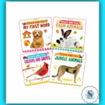 Touch and Feel Books Series